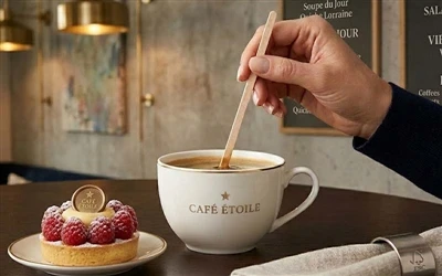 Guia de compras da UE de 2026: como adquirir uma fábrica de palitos de café d...