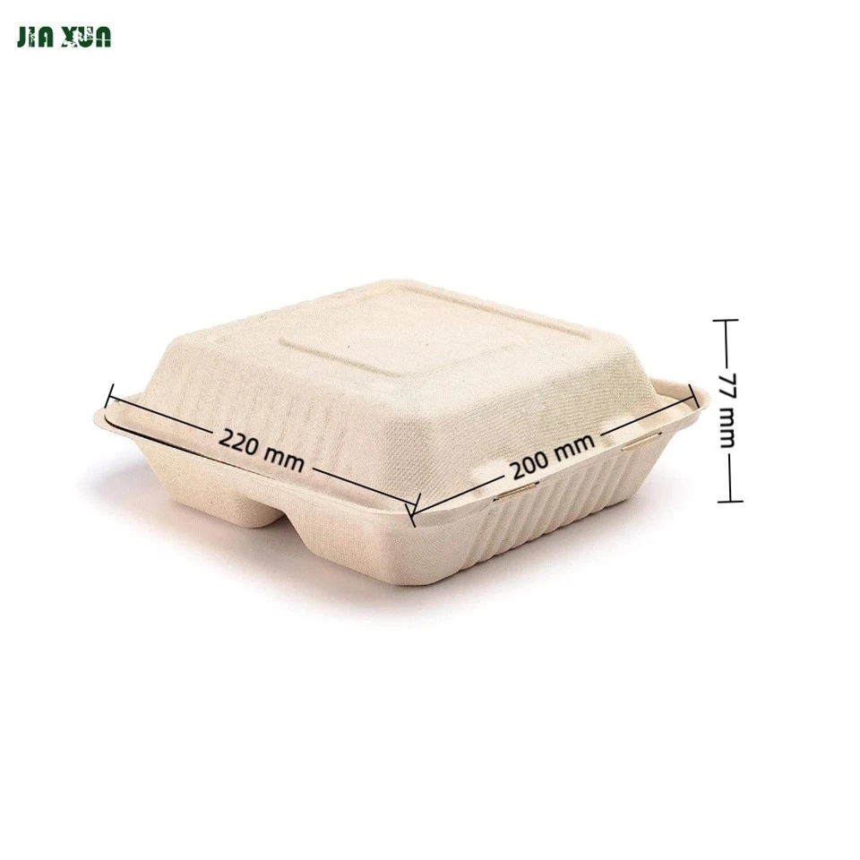 Disposable eco-friendly lunch box manufacturer